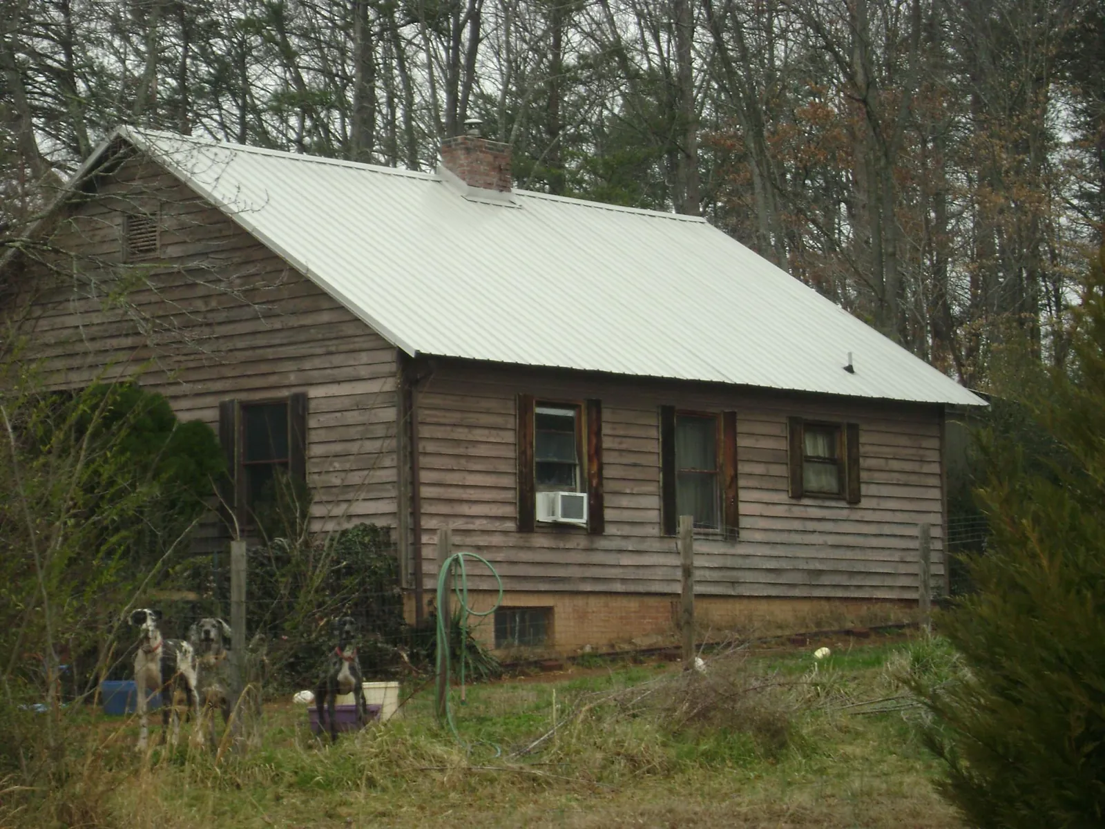 White metal roof on an old wood sided farmhouse, from a Asphalt Shingle Roof Repair job in Longs